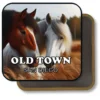 San Diego California Souvenir Magnet - Horses Grazing in Autumn Fields